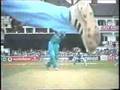 This is Cricket - Wicket Keeping