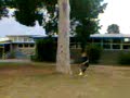 Runin flip