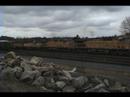 Southbound Union Pacific Train (Mixed Manifest) Southbound Union Pacific Train (Mixed Manifest)