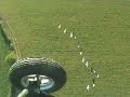 voler avec les oies