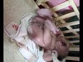 newborn care 091207 newborn care 091207