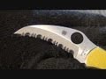 Knife Review: Spyderco Harpy