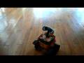 videos de Dancing WALL•E x Supreme Beings of Leisure x Carmen Rizzo
