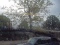 NYCT Bus: 5557  New Flyer D60 on M101 Limited