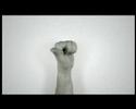 [??]Hands
