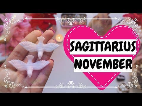 🕊️SAGITTARIUS(धनु)NOVEMBER🕯️एक दो तीन चार, कितने सारे काम है यार🙈🦄⛲