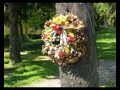 Francis Ciaran Tobin killed Marci and Petra here - Thumb #3