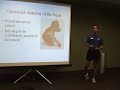 Jon Messner - Squat Analysis Part 1