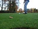 le putt nul le putt nul