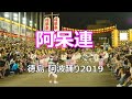 阿呆連 美しい阿波踊り2019 （2019年8月13日 徳島県徳島市）/ Tokushima Awaodori Festival Japan