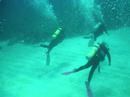 Belize (Ambergris Caye) Scuba