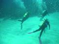 Belize (Ambergris Caye) Scuba
