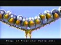 Fun 19 der vogelschreck