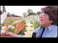 Great Gardens: Keeping bugs off your Gladiolas