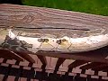 How to Burn things with a Magnifying Glass How to Burn things with a Magnifying Glass