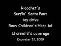 Surf Dog Ricochet's toy drive Channel 8.wmv