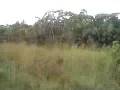 Yaounde to Douala by bus
