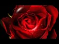 Lady in Red & Romantic saxophon