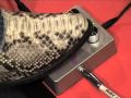 Freekish Blues Coily Fuzz guitar effects pedal demo with Strat and Dr Z amp