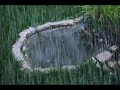 Raining Pond