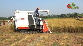 ধান কেটে মাড়াই করে বাড়ি পৌছে দেবে মেশিন- নতুন জাপানী কম্বাইন হার্ভেস্টার( Combine Harvester)