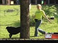 KVUE Coverage of Controversial Animal Shelter Relocation KVUE Coverage of Controversial Animal Shelter Relocation