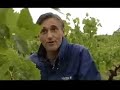 Le r�chauffement global en France