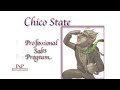 Professional Sales Program