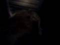 videos de Beki a Laydy v akci