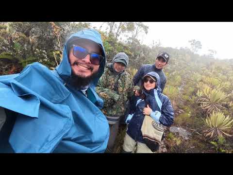 Elkin Oliveros Montoya, Adriana Chica García, Andrea Carolina Espinosa Blanco,
Felisa Jiménez Quintero, Jessica Natalia Ramírez Cano, Karen Lizeth Zárate Bedoya, Juan Carlos Baquero Romero, Adriana Milena Gutiérrez Torres y Mario Cubillos Peña