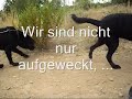Carlo und Carla