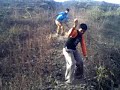 Whacked Out On Hill