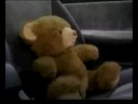The Cub