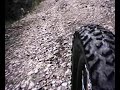 Uma corriendo \"al lado\" de la bici - Bunyola MTB