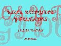 rizos recogidos y peinados