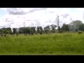 videos de Adams Minnesota Dairy Days Battle pt.5