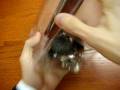 Test di resistenza (Hard Test) Blackberry Storm Cellulare-Magazine.it
