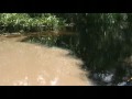 Matter & Beyond - Ecology and Worldview