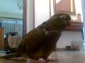 Osvaldo Loro Barranquero Osvaldo Loro Barranquero
