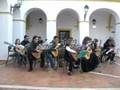 1001 Cordas in Concert 