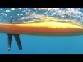 Hobie MirageDrive Underwater Clips