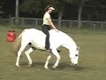 Dressage Naturally -playing around with collection