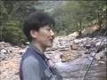 ナナホシテントウ動画16