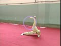 中国武術基本功