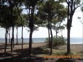 Pathek Beach - Situbondo - East Java