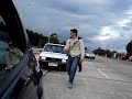 Pollitos en fuga jajaja