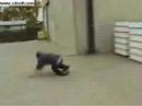 skateboarding 222