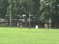 NY Magpies v Baltimore 2007 NY Magpies v Baltimore 2007
