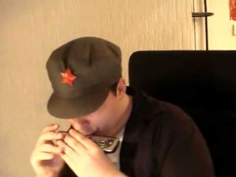 Harmonica - Roses of Picardy - Roses ...