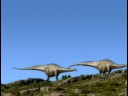 videos de DINOZARIA
